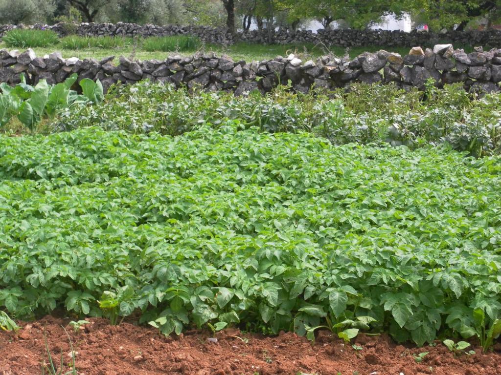 Retiro Da Avo Lidia - Turismo Rural Mendiga Esterno foto