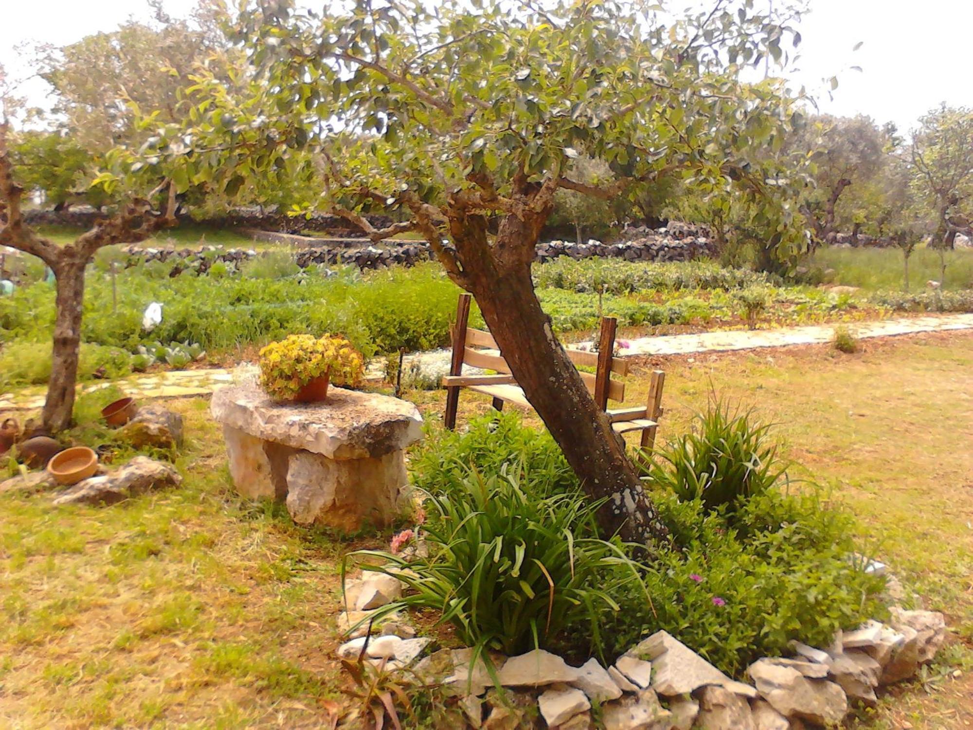 Retiro Da Avo Lidia - Turismo Rural Mendiga Esterno foto