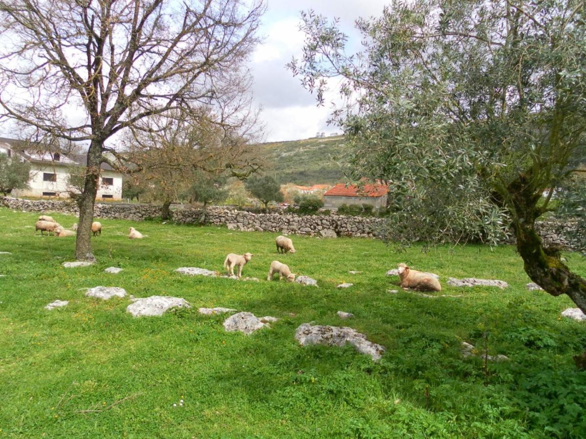 Retiro Da Avo Lidia - Turismo Rural Mendiga Esterno foto